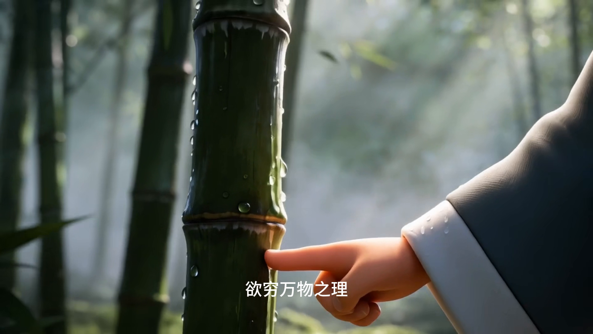 阳明古镇IP推广设计 封面